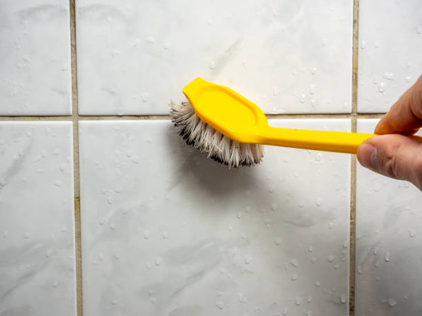 Best Local Mold Removal Service  in Fairview, UT