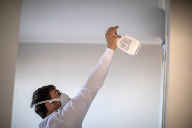 Best Mold Removal Near Me  in Fairview, UT